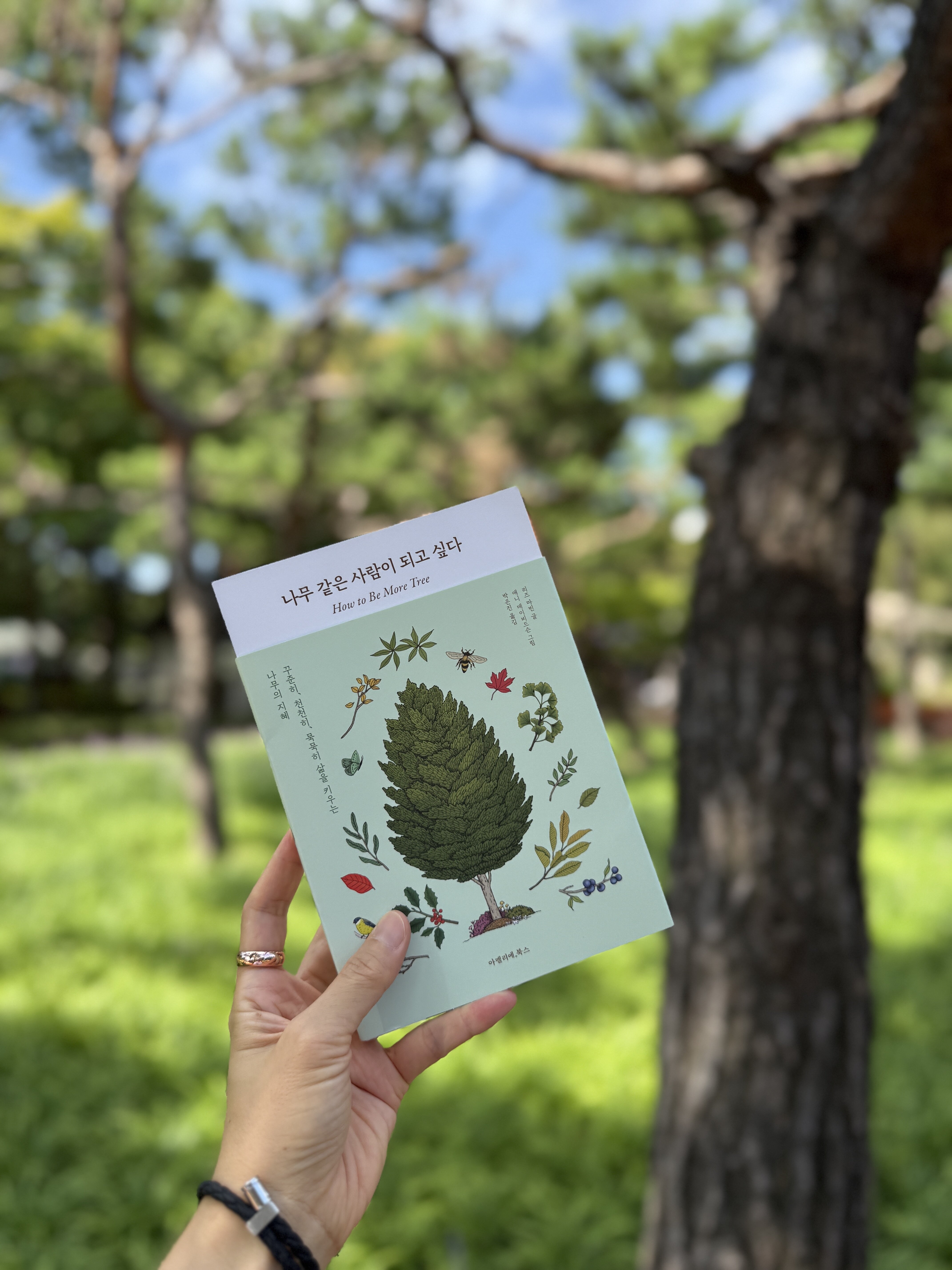 첨부된 사진