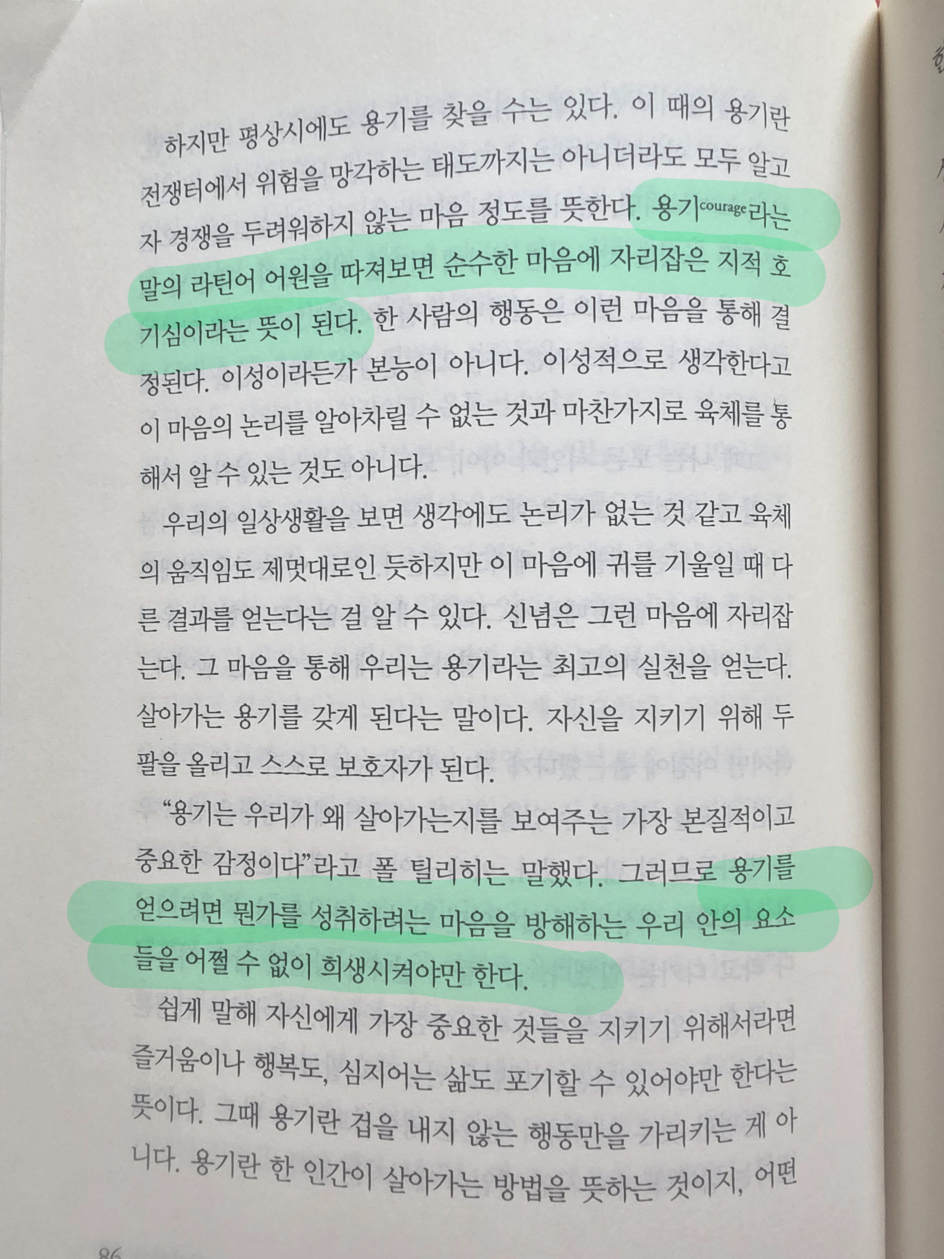 컨텐츠 이미지
