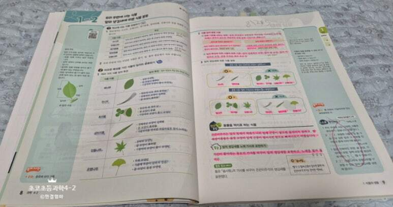 첨부된 사진