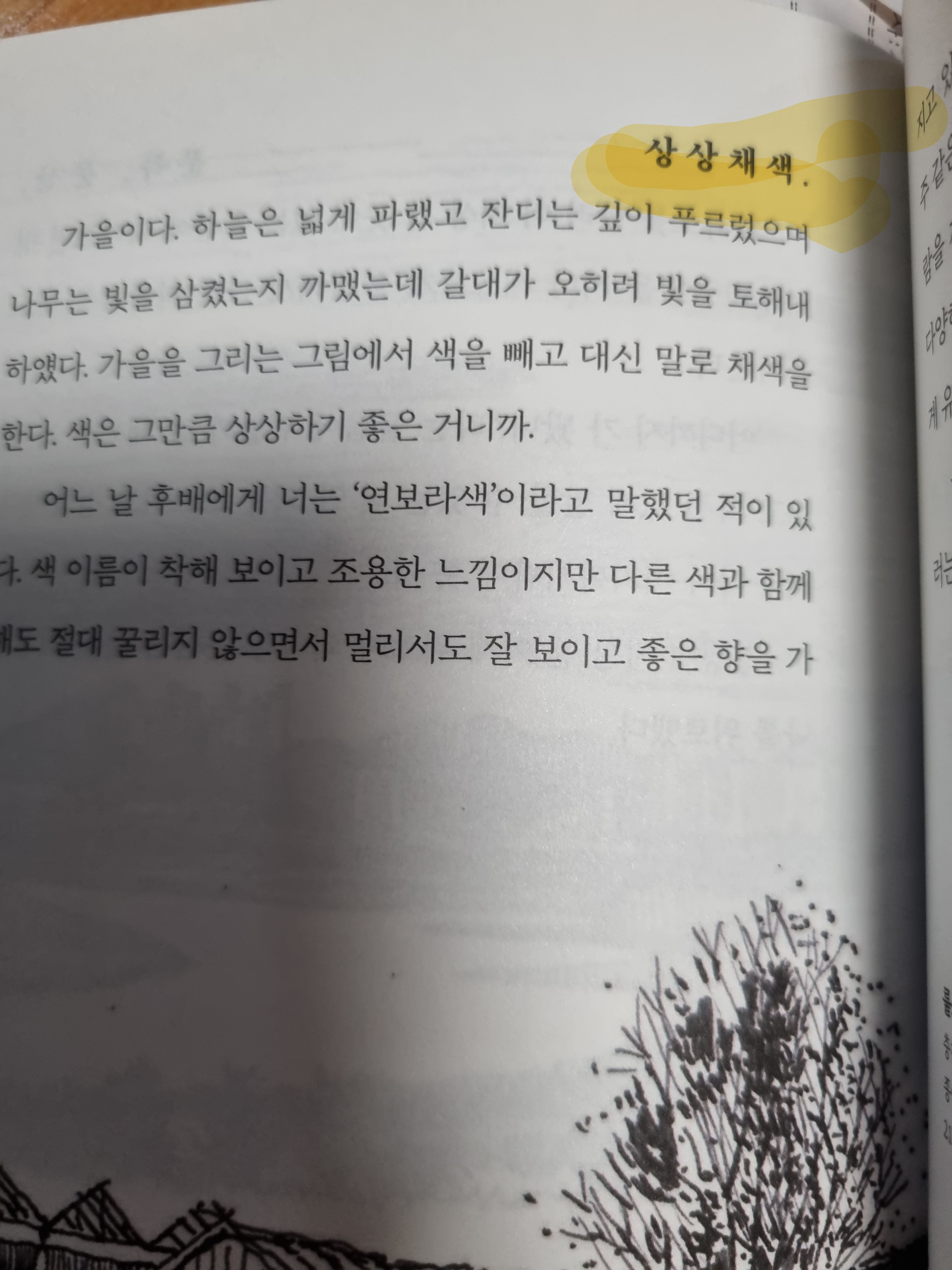 컨텐츠 이미지