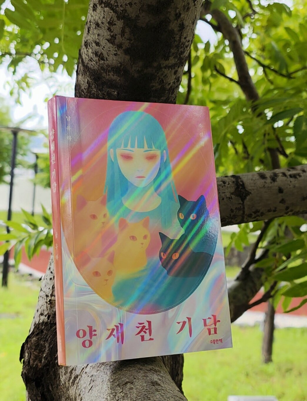 첨부된 사진