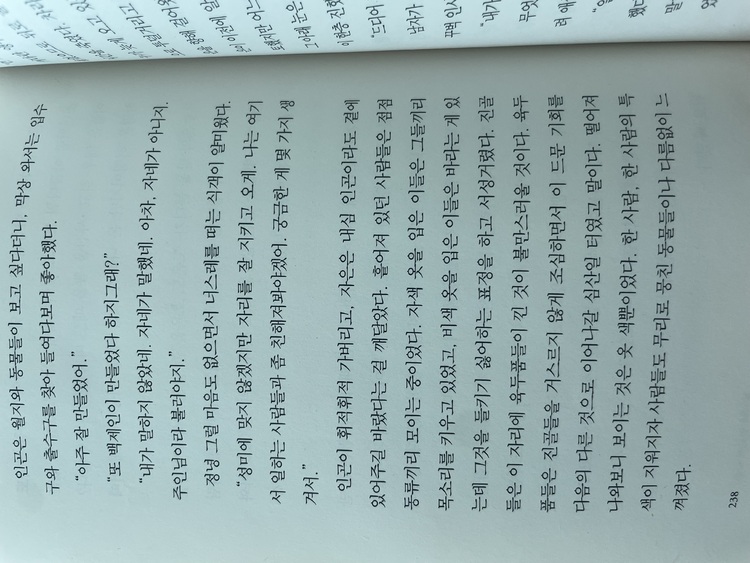컨텐츠 이미지