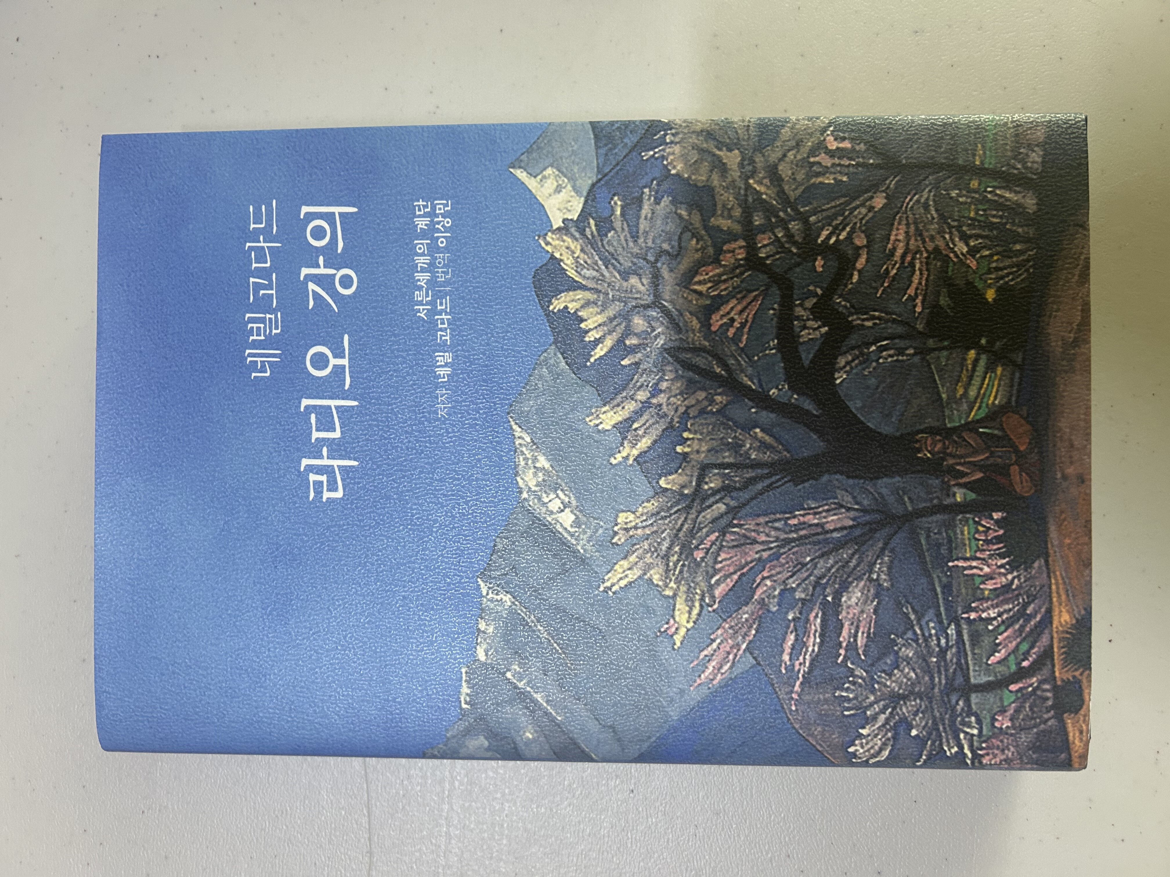 첨부된 사진