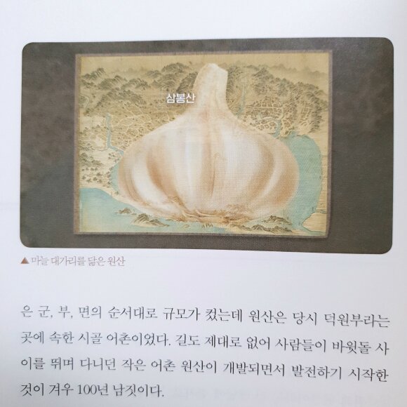 첨부된 사진