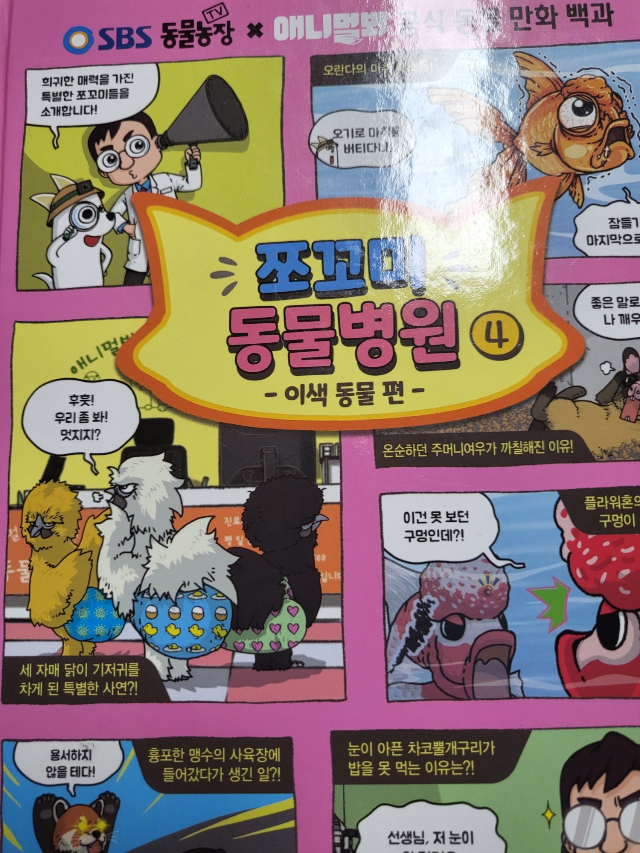 첨부된 사진