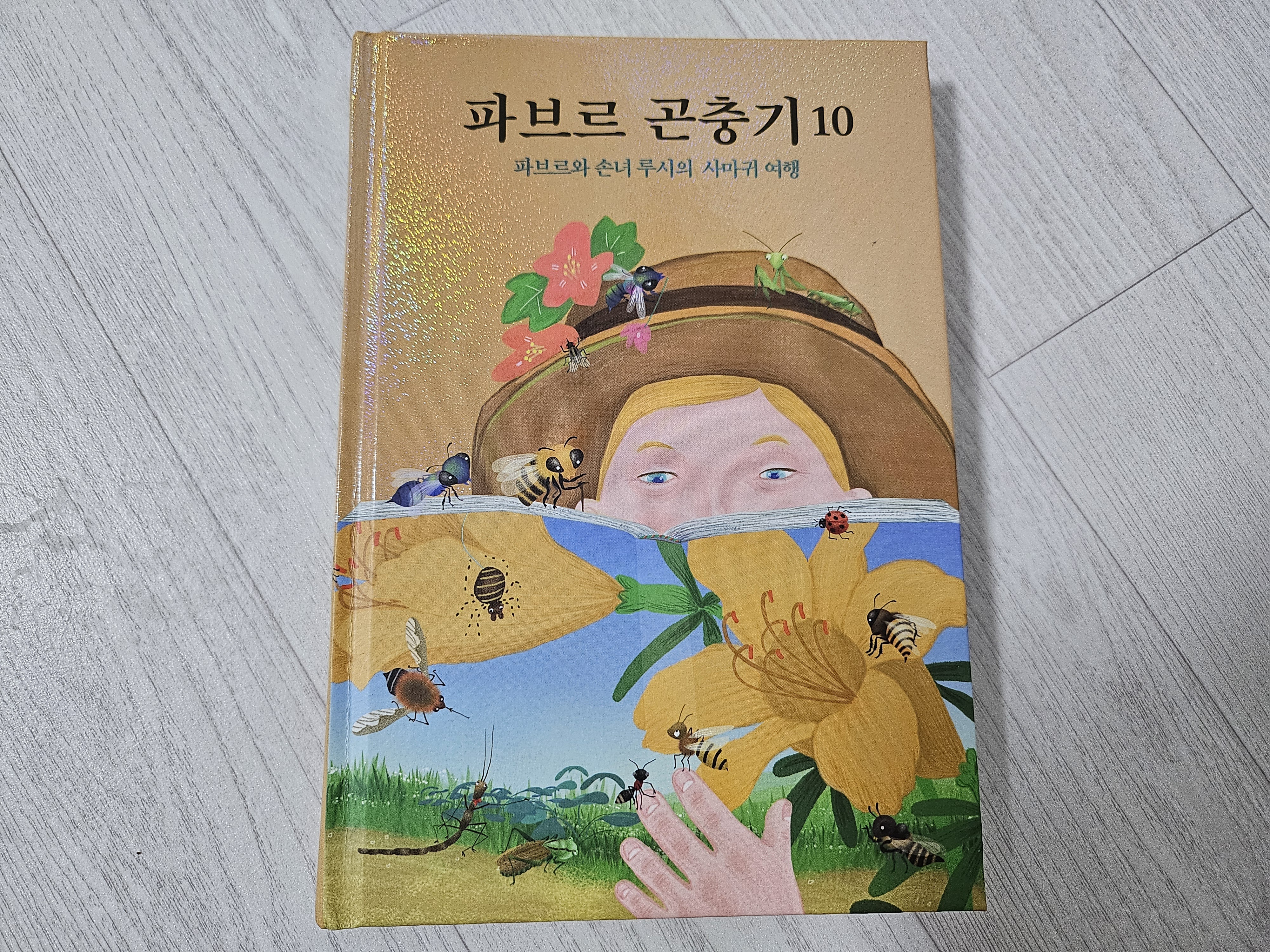 첨부된 사진