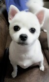대표사진