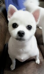 대표사진