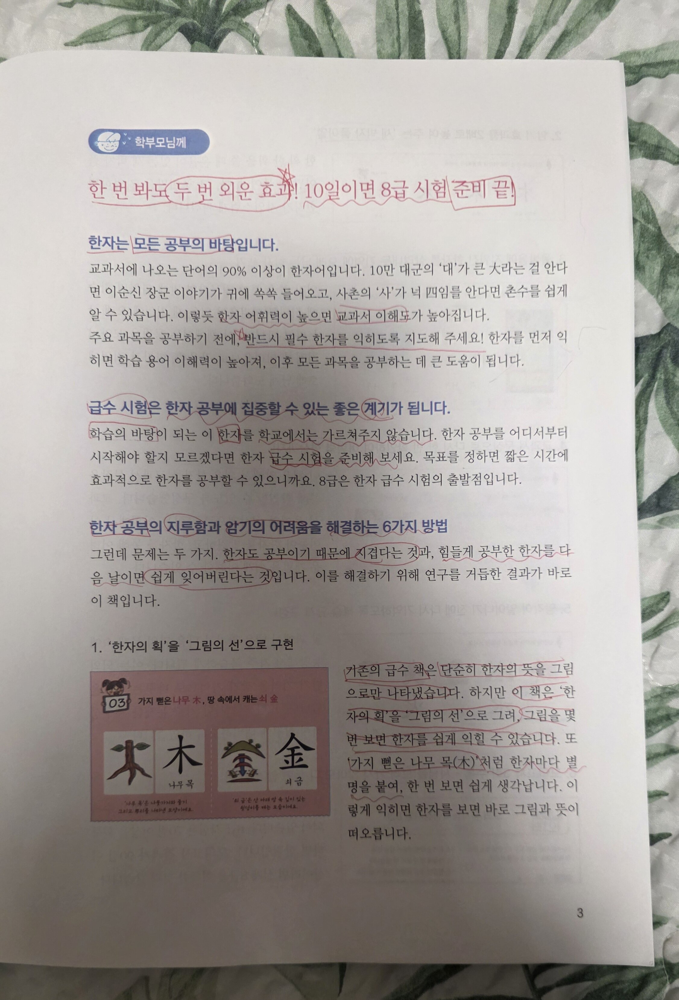 첨부된 사진