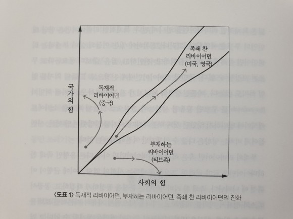 컨텐츠 이미지