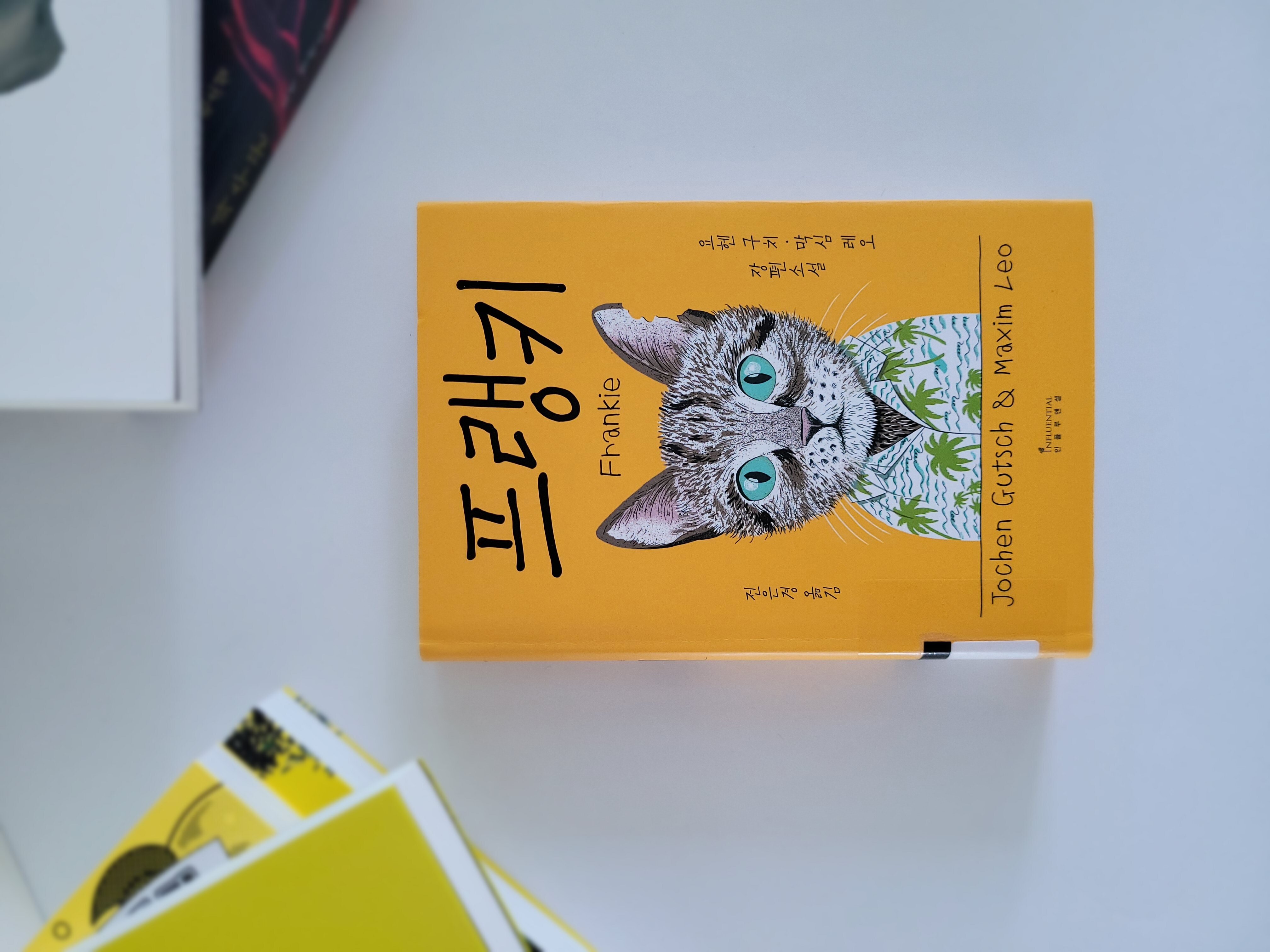 첨부된 사진