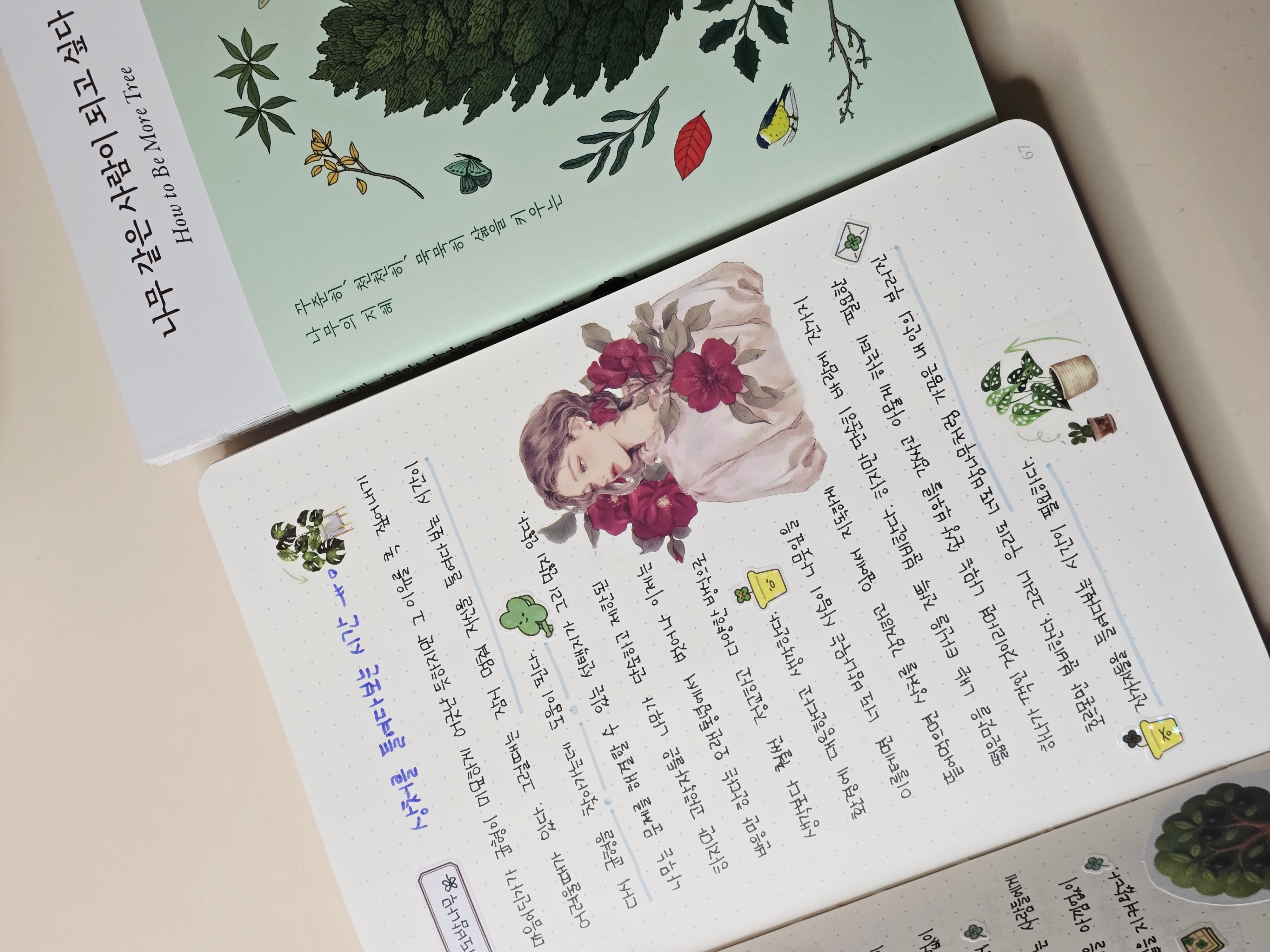 첨부된 사진
