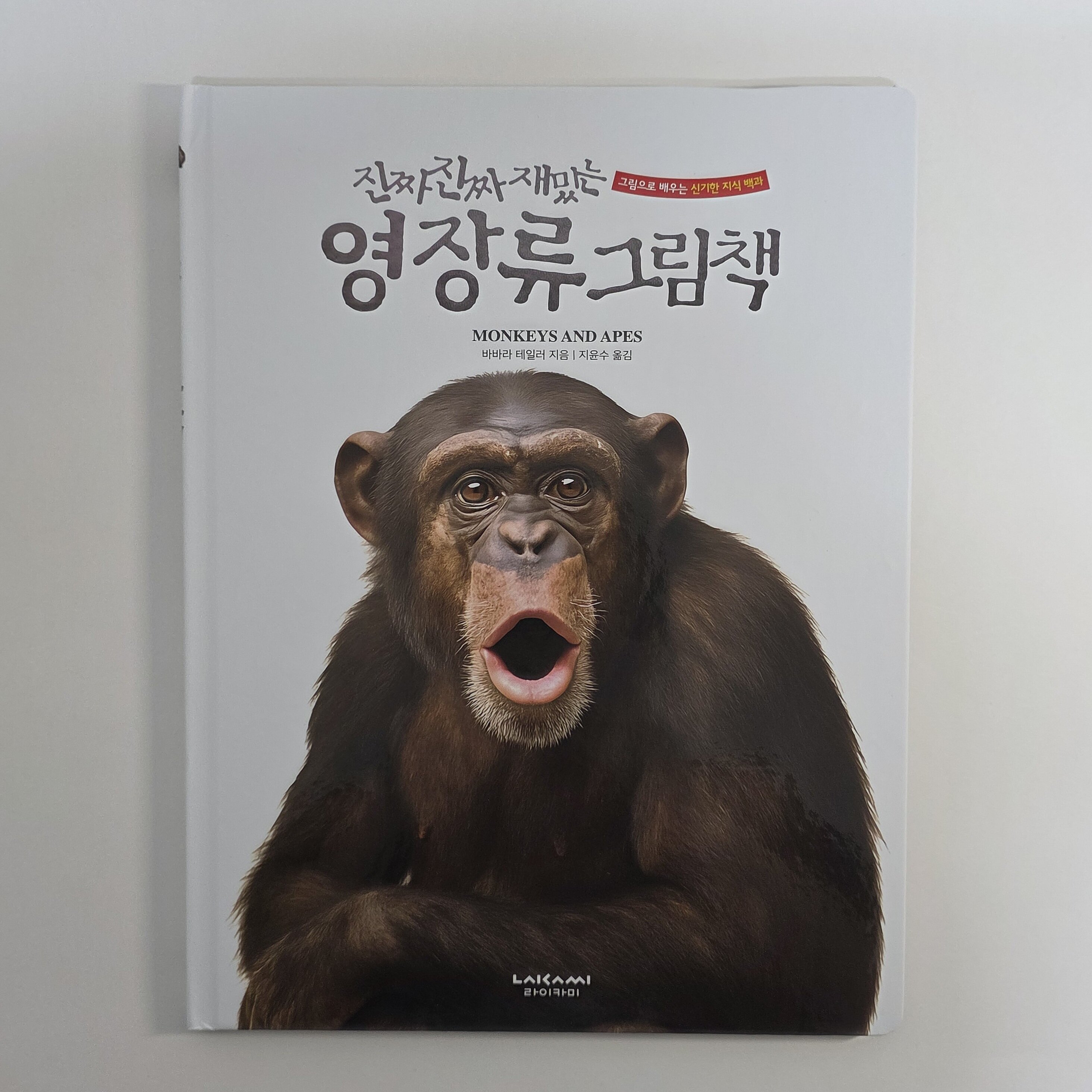 첨부된 사진