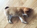 대표사진