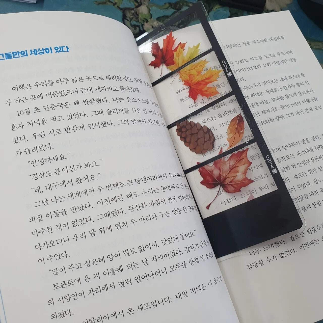 첨부된 사진