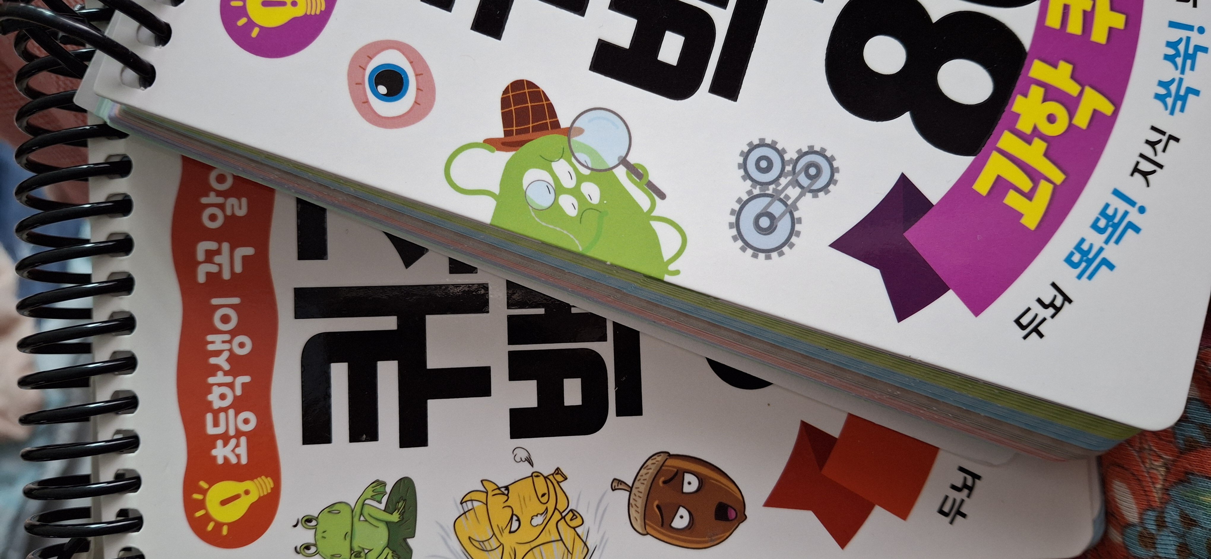 첨부된 사진