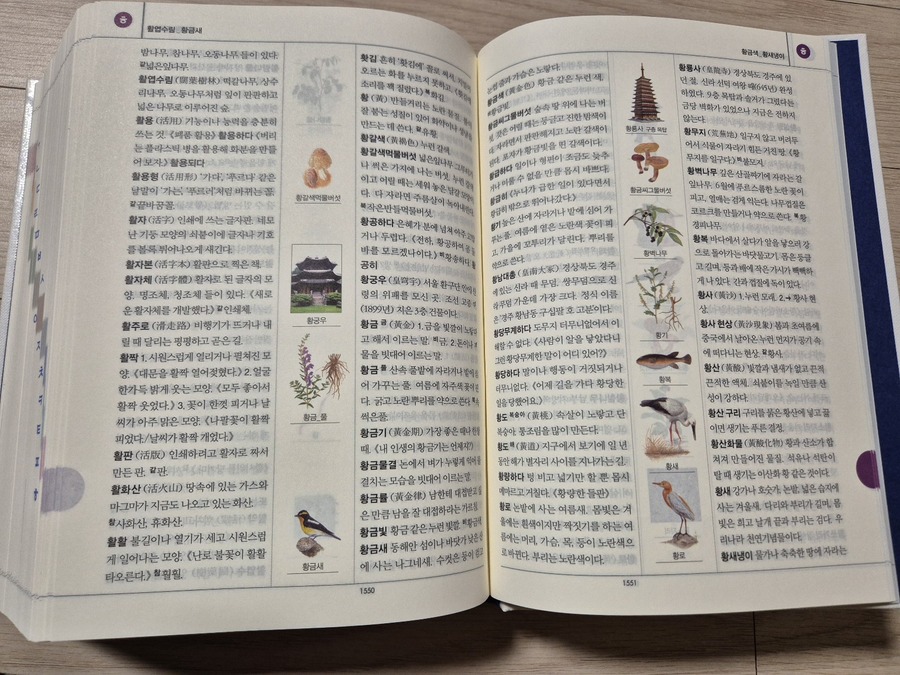보리 국어사전 (2025년 최신판) | 토박이 사전 편찬실 | 보리 - 예스24