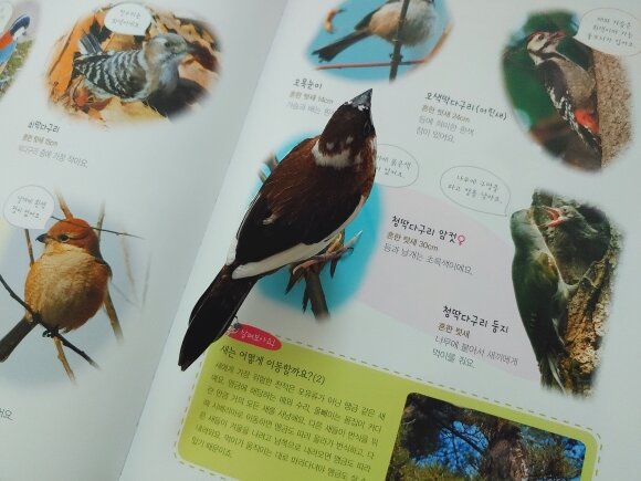 첨부된 사진