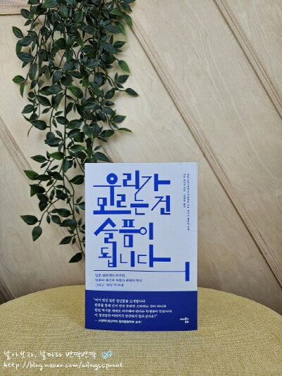 컨텐츠 이미지