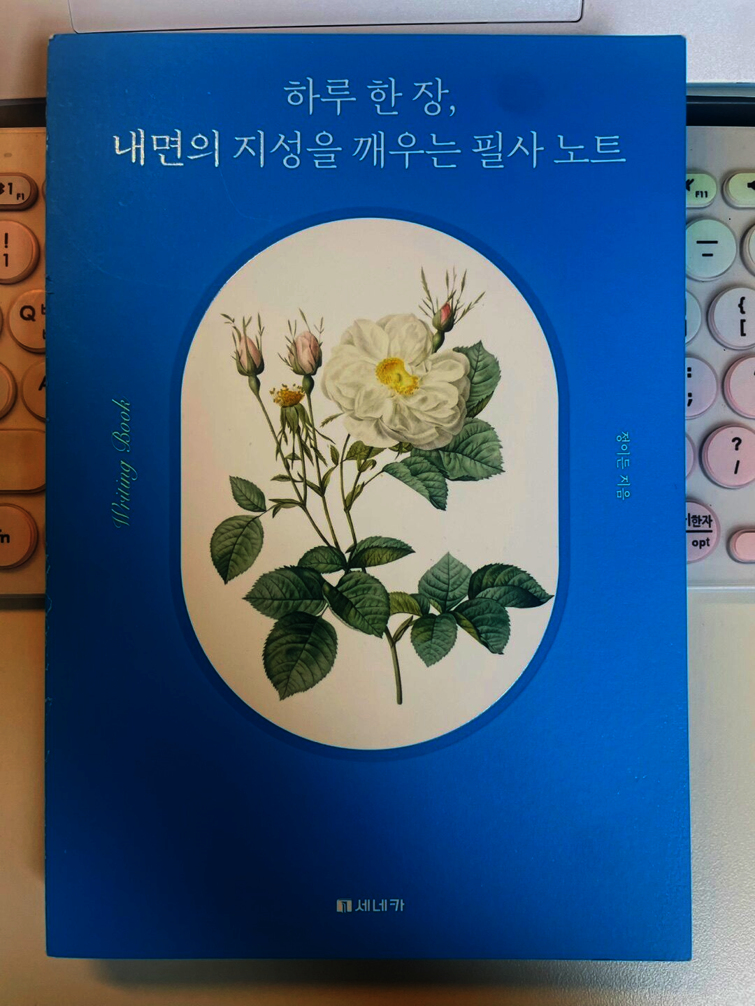 첨부된 사진