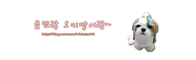 대표사진