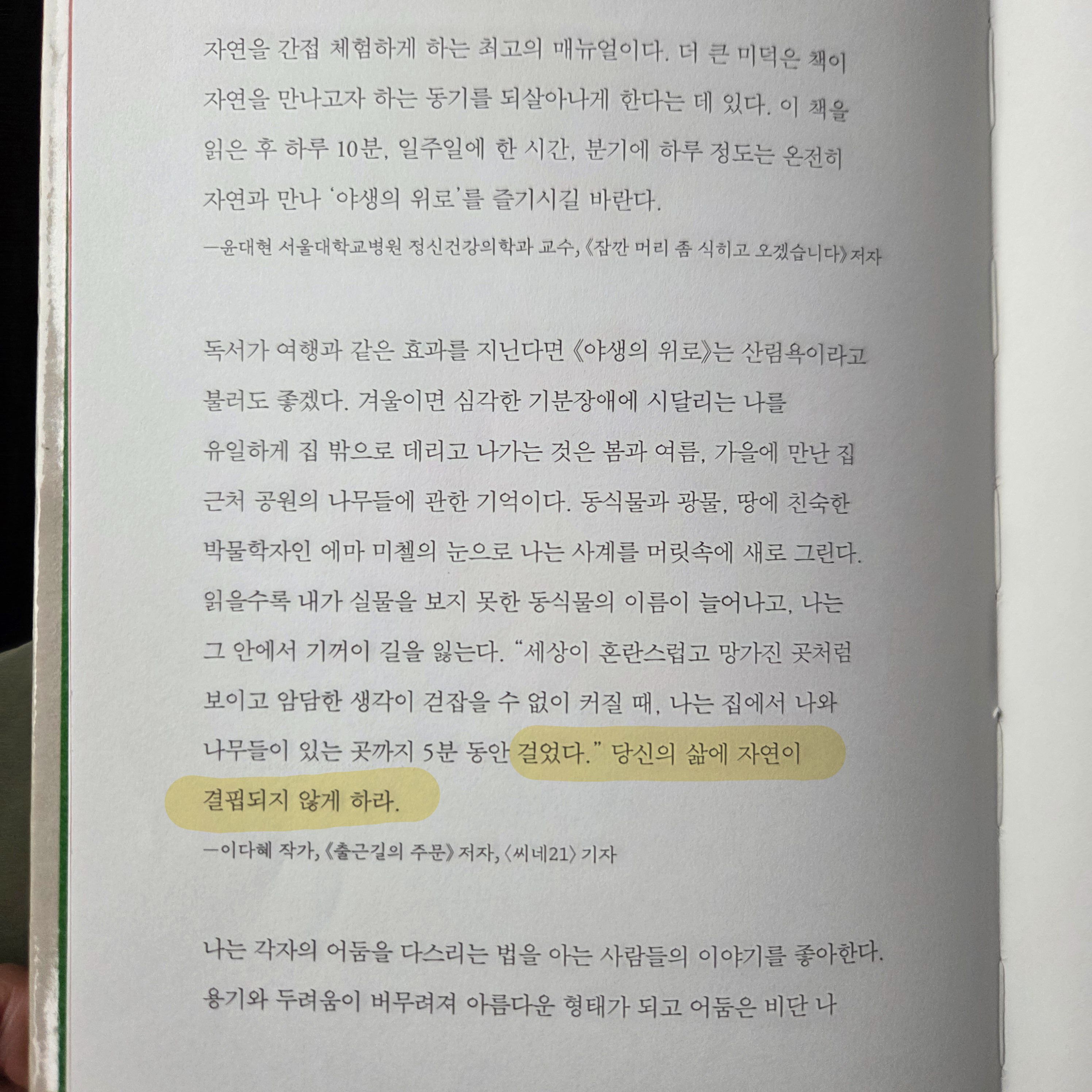 컨텐츠 이미지