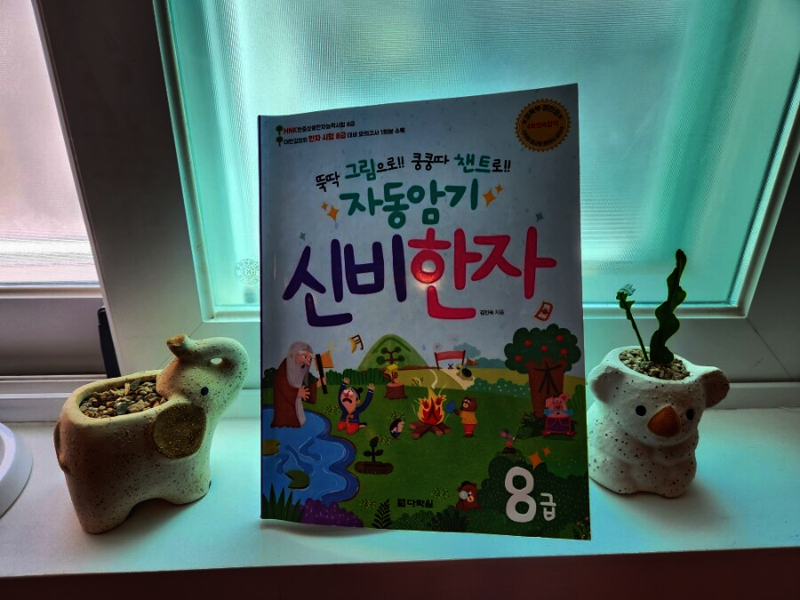 첨부된 사진