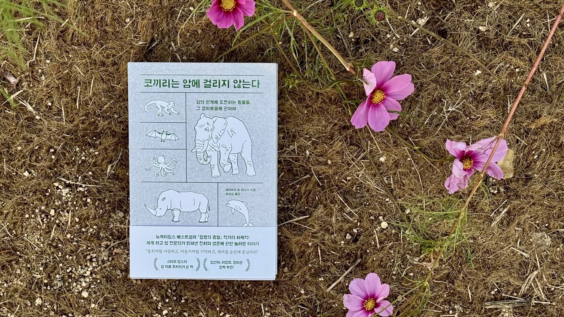 첨부된 사진