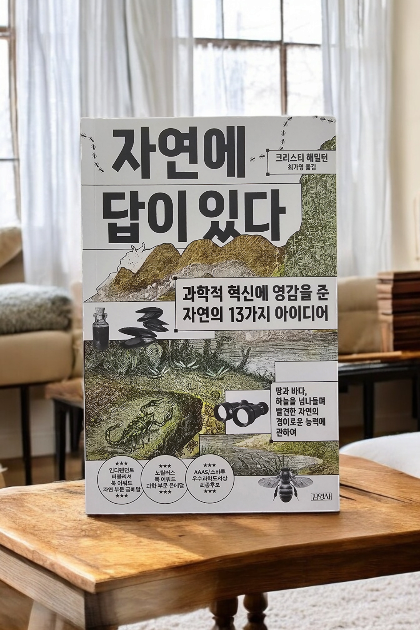 첨부된 사진