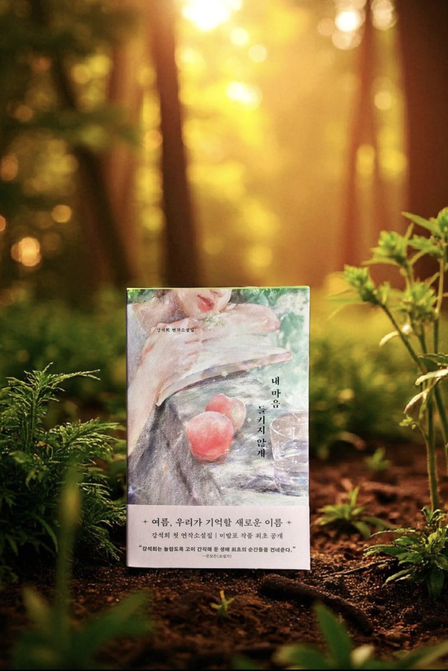 첨부된 사진