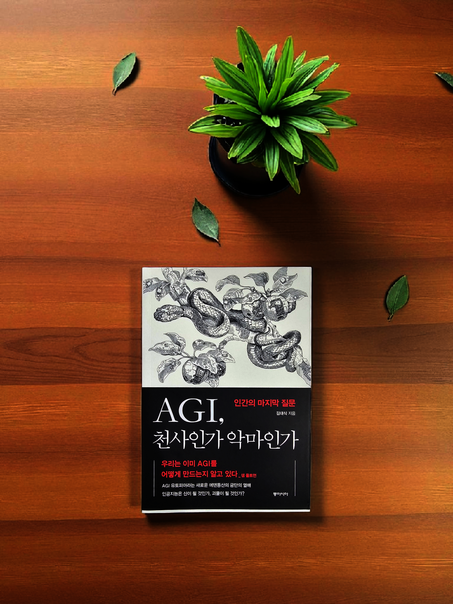 첨부된 사진