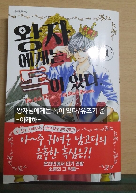 왕자에게는 독이 있다 1 만화 리뷰 : 귀엽고 음흉한 남주가 매력인 만화 