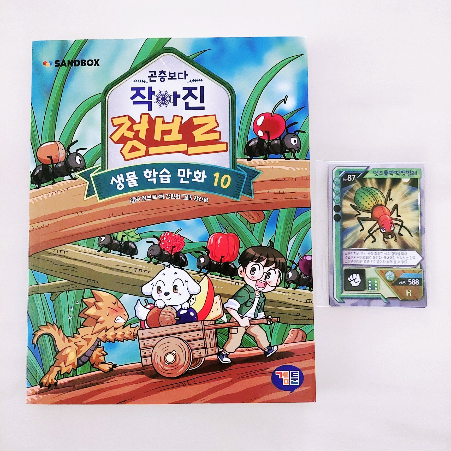 첨부된 사진