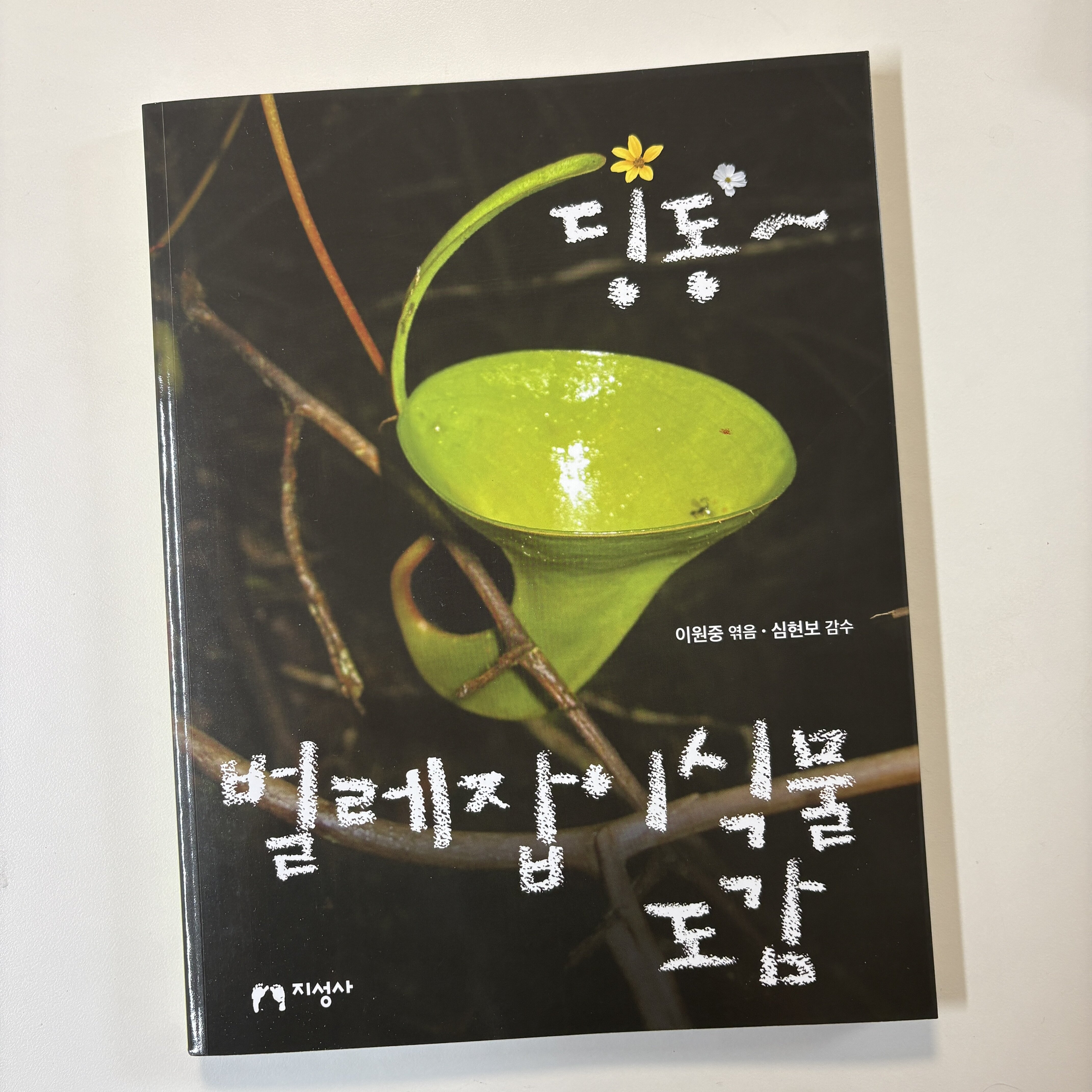 첨부된 사진