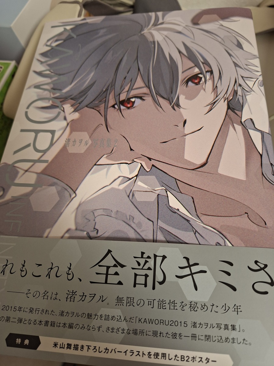 KAWORU INFINITY∞ 渚カヲル写真集2 ゲーマーズ限定 KAWORU INFINITY∞ 渚カヲル写真集2」ニュータイプ [画集・ファン