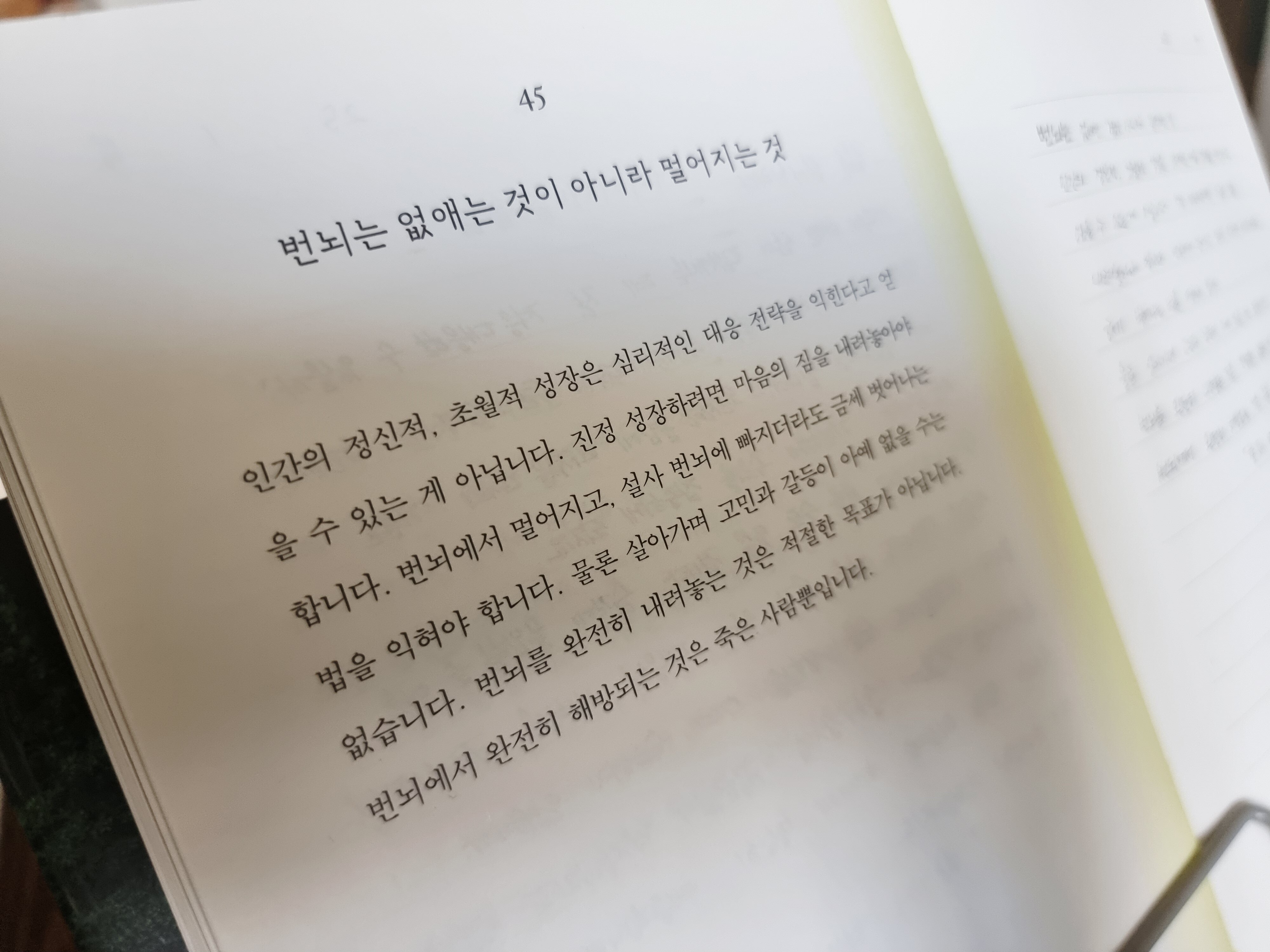 컨텐츠 이미지