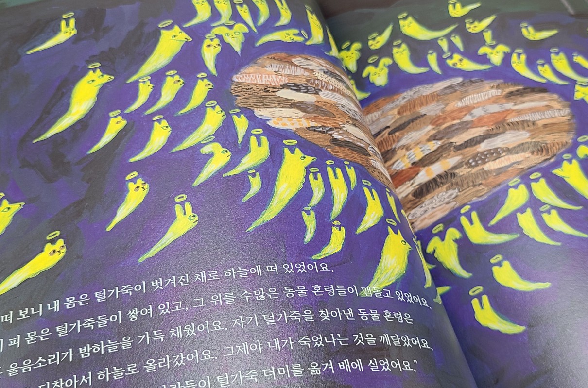 첨부된 사진