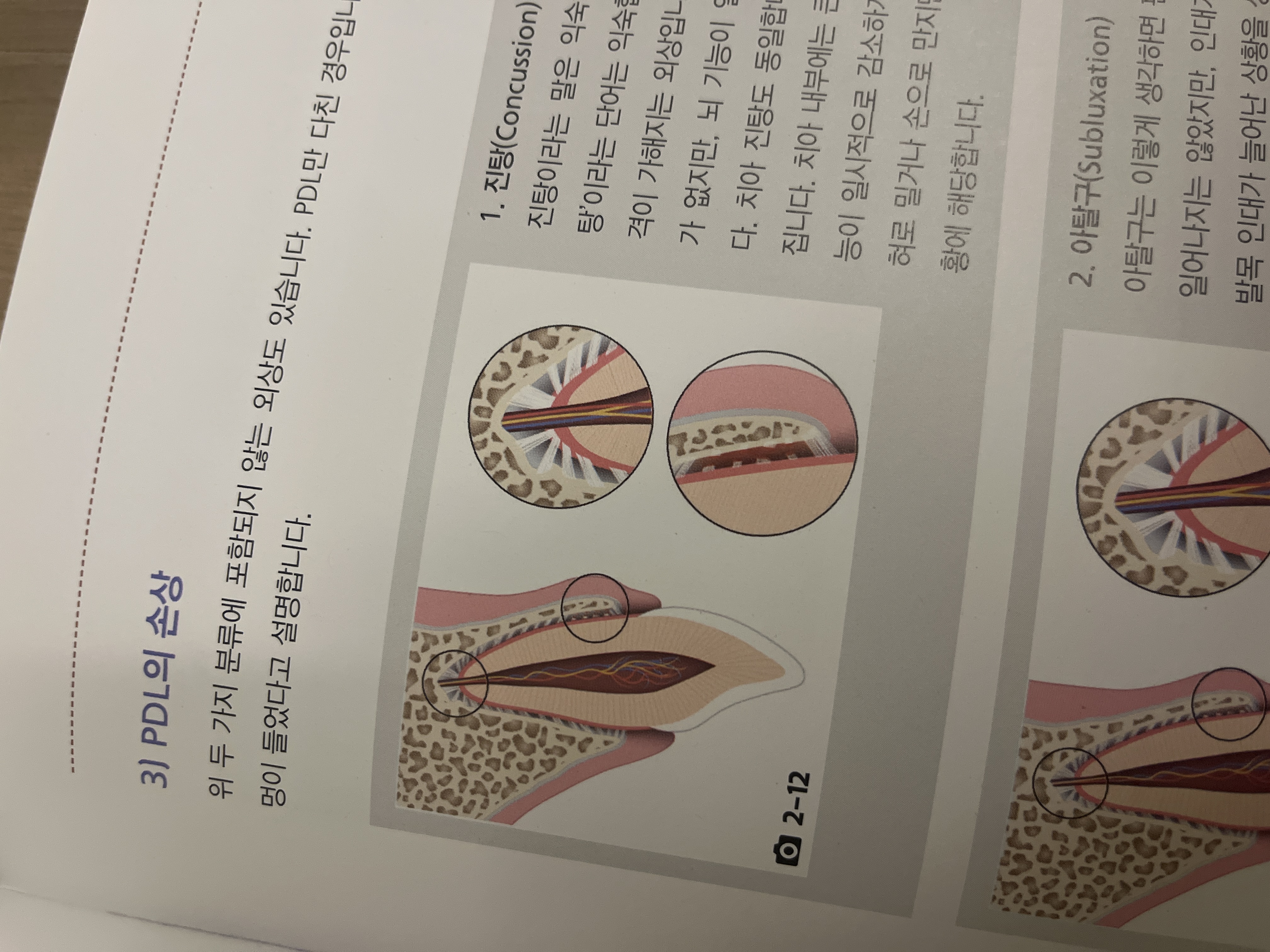 컨텐츠 이미지