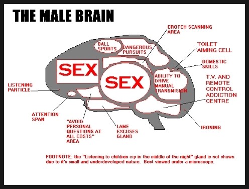남자의 뇌, 남자의 발견 도서 리뷰 : 남자의 뇌, 남자의 발견 | Yes24 블로그 - 내 삶의 쉼표