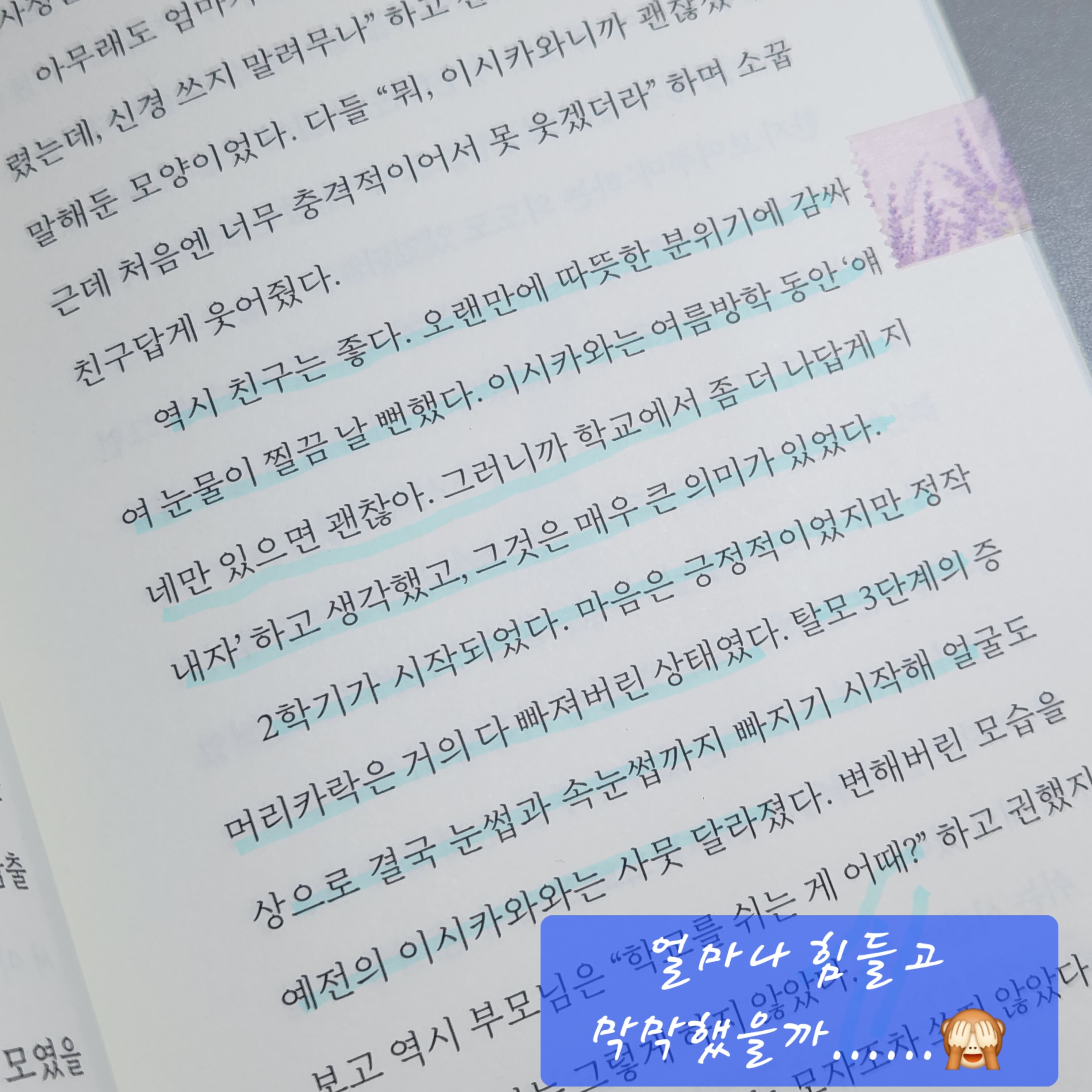 첨부된 사진