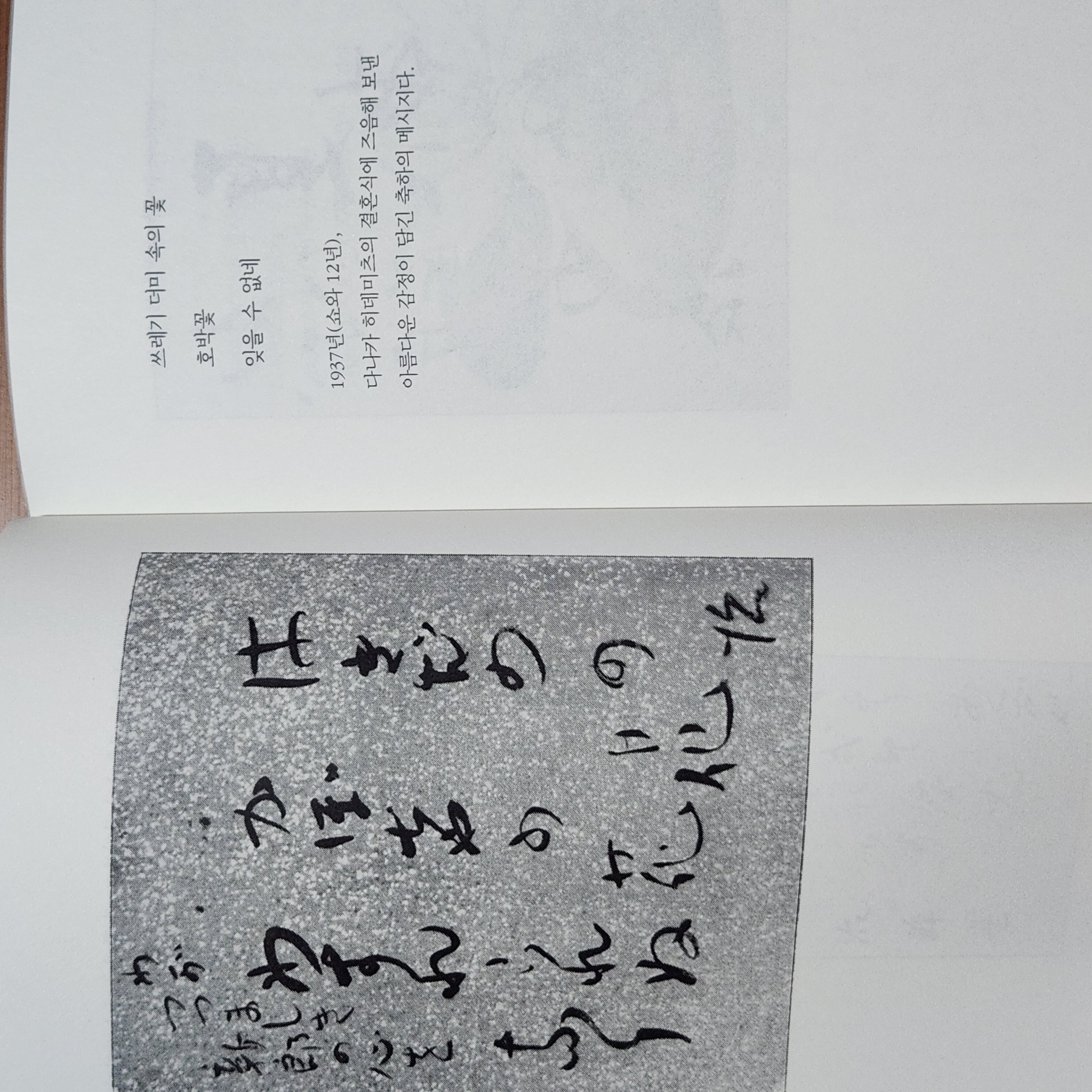 첨부된 사진