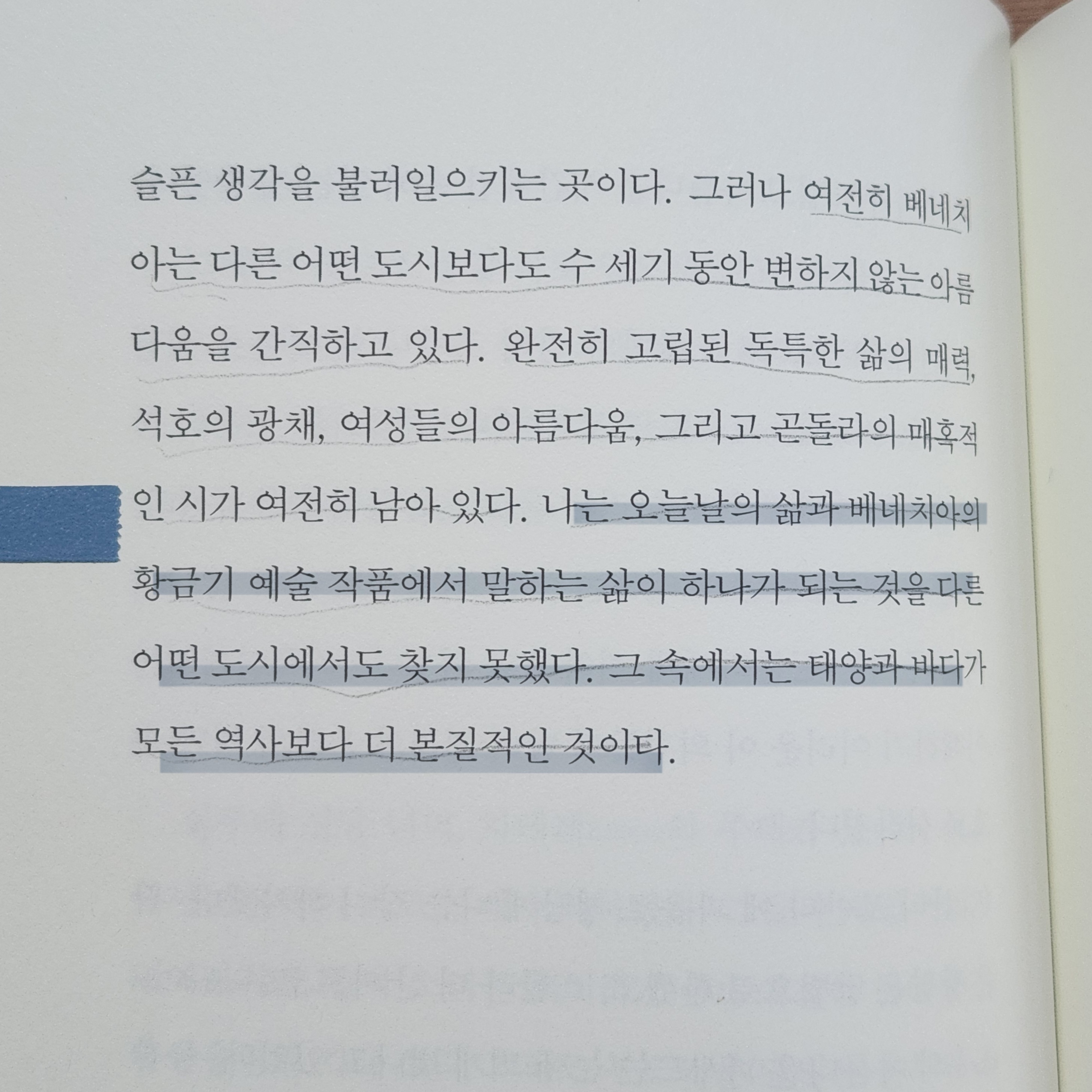 첨부된 사진