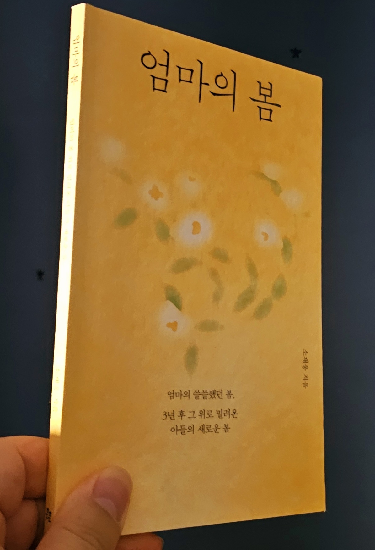 첨부된 사진