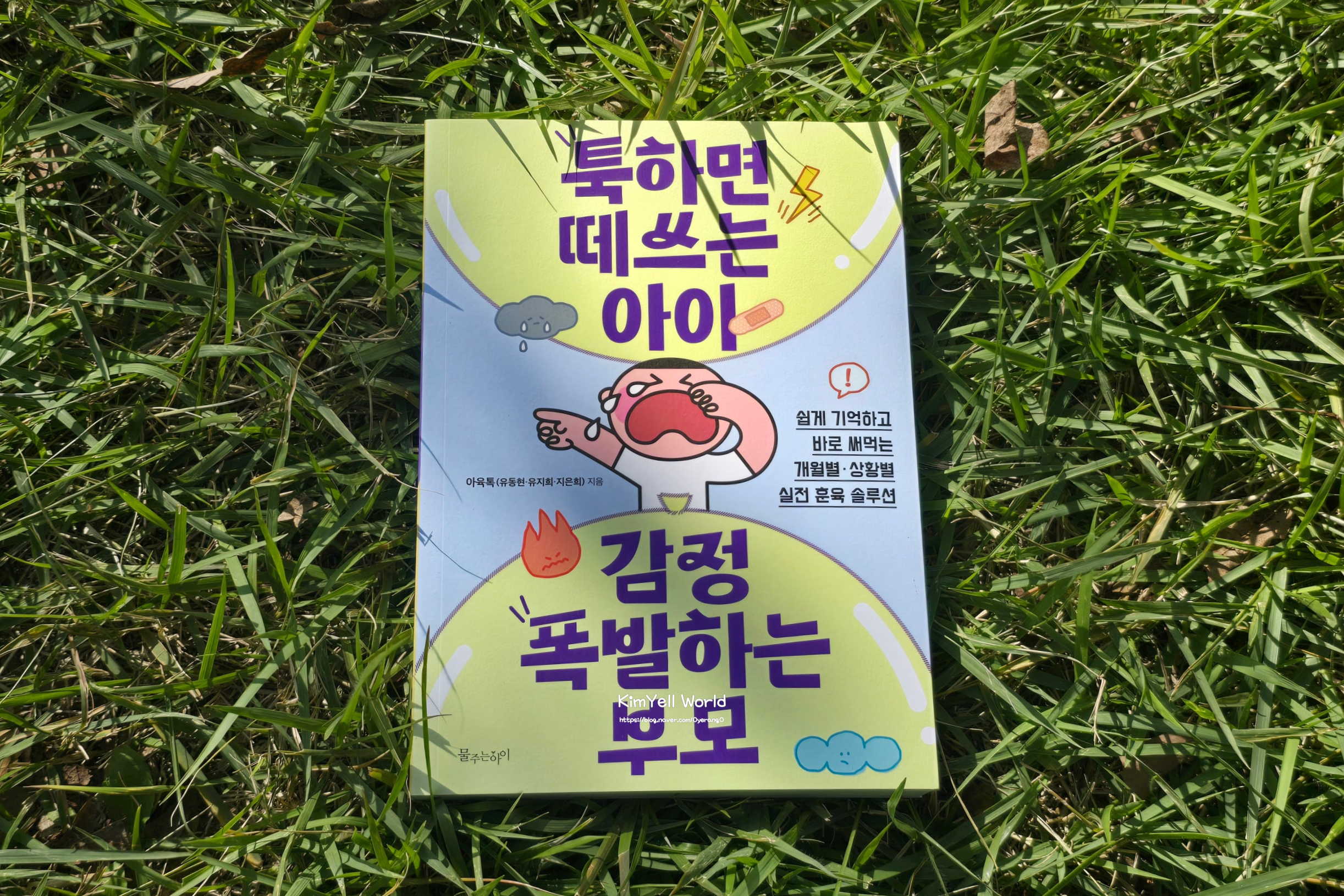 첨부된 사진