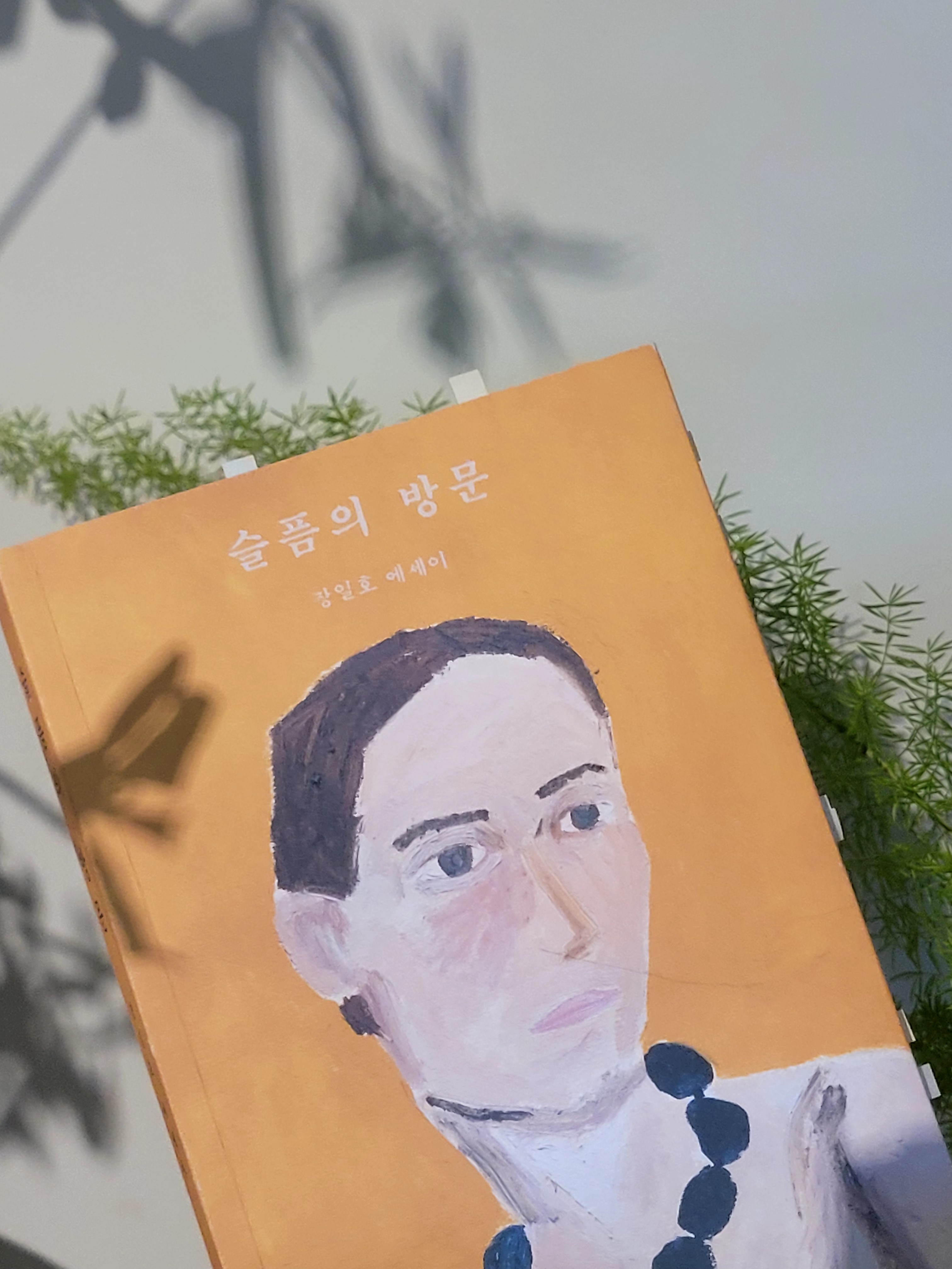 첨부된 사진