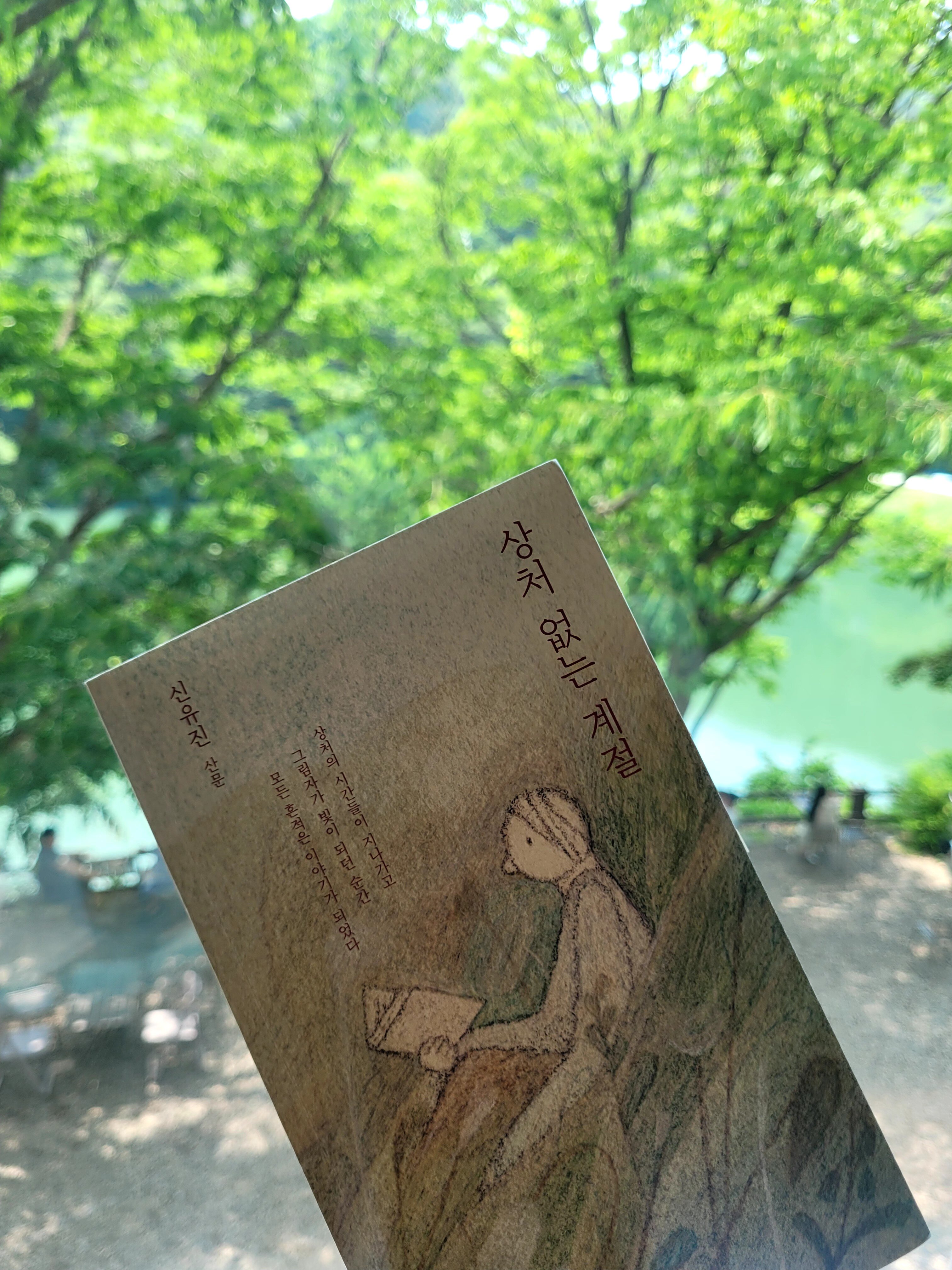 컨텐츠 이미지