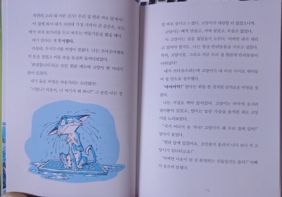 첨부된 사진