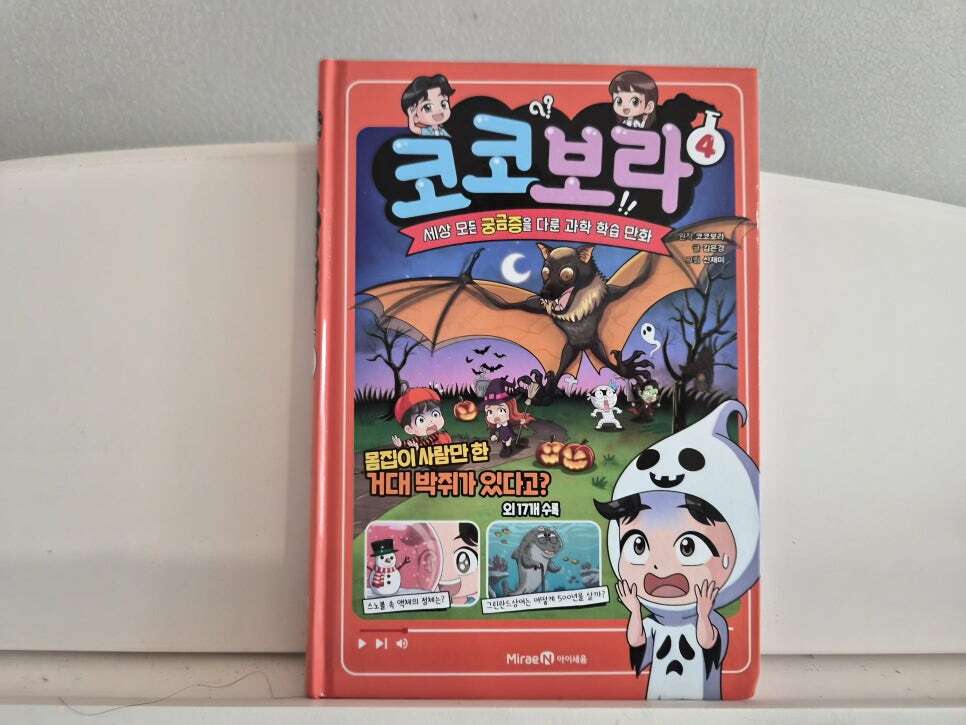첨부된 사진