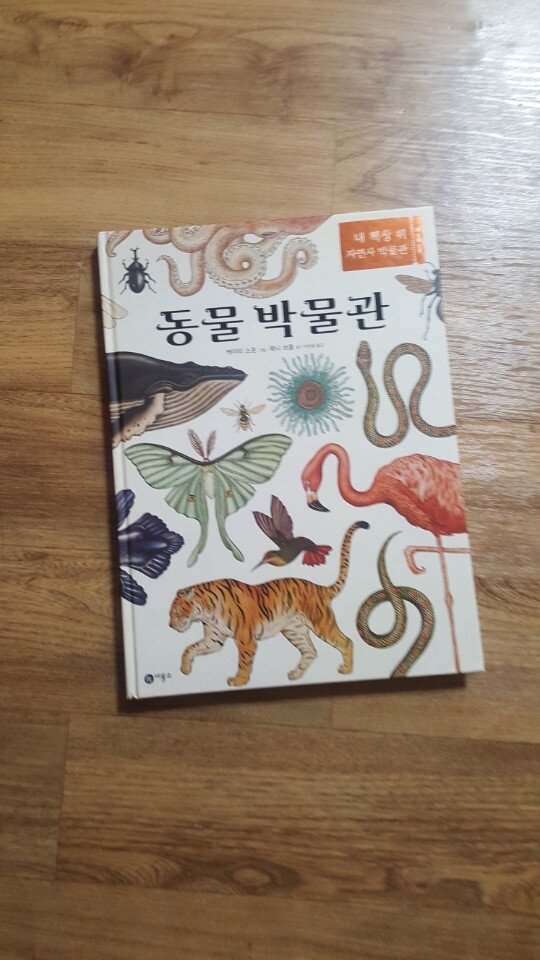 첨부된 사진
