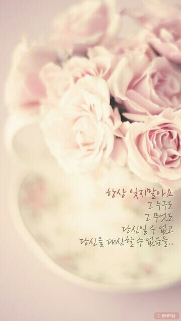 대표사진